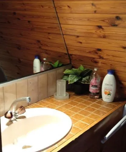 Face A La Cathedrale Strasbourg