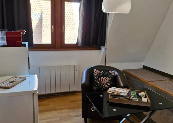 Homestay Face A La Cathedrale Strasbourg