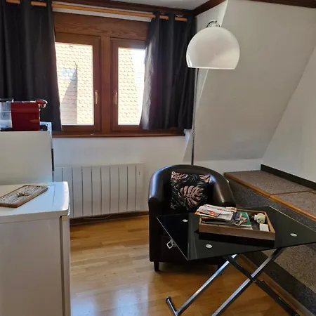 Séjour chez l'habitant Face à La Cathédrale Strasbourg